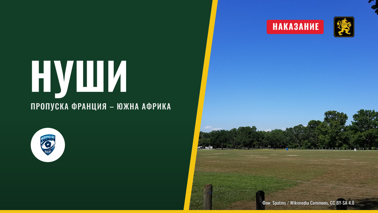 Нуши получи три седмици наказание и пропуска Франция – Южна Африка